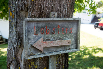 Rustic wooden lobster sign