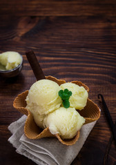 Homemade Vanilla Ice Cream