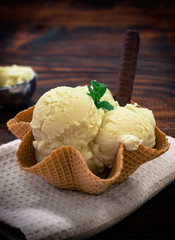 Homemade Vanila Ice Cream