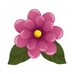 cute flower plant icon vector illustration design