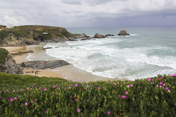 Pink flowers and turquoise water in a bay at the Atlantic in Portugal