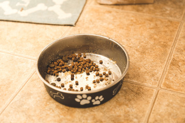 Nearly Empty Bowl of Dog Food