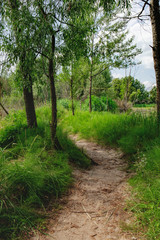 Fototapeta premium Dirt curving road in the shade of the trees. Rural landscape with road along the small river, green meadow and forest on the horizon, Irpin, Ukraine.