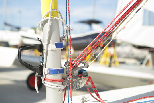 Albero prima della regata