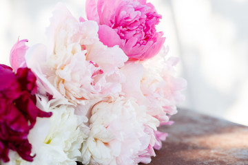 fresh peonies