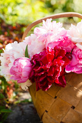 peonies in basket