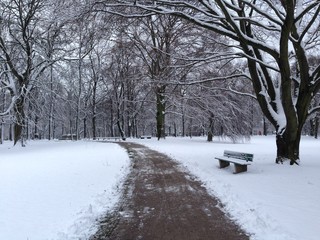 Verschneiter Park Winter