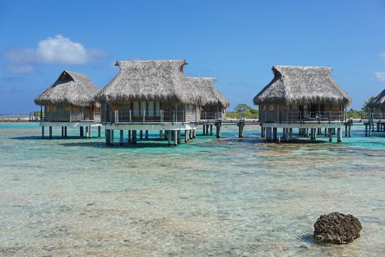 Tropical lagoon and overwater bungalows with thatched roof, atoll of Tikehau, Tuamotu, French Polynesia, south Pacific ocean