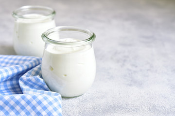 Two portions of fresh natural  homemade organic yogurt.
