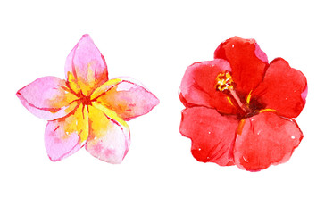 Set of tropical flowers, watercolor illustration