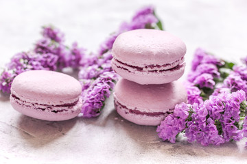spring design in pastel color with macaroons and purple flowers