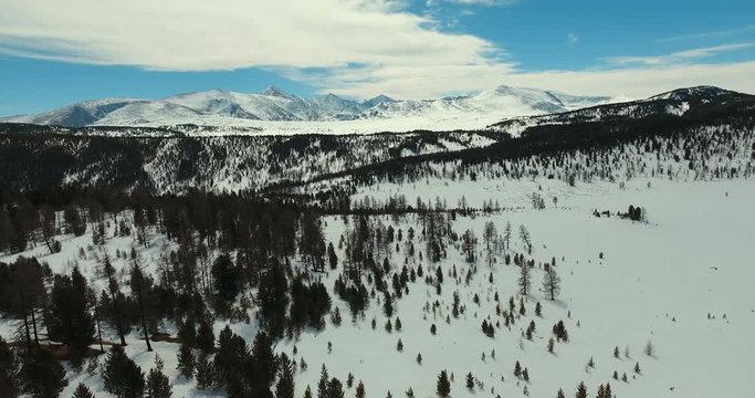 Fly over the snow-covered mountain plain in early spring (Siberia, Altai). hard-to-reach places, overgrown with evergreen coniferous plants. Sharp continental climate: rare plants on a mountain plain.