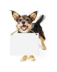 Happy Dog Carrying Blank Sign