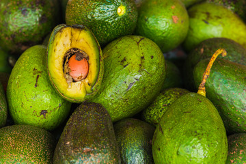 Avocado