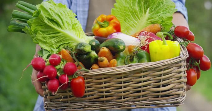 Portrait of a happy young farmer holding fresh vegetables in a basket. On a background of nature The concept of biological, bio products, bio ecology, grown by own hands, vegetarians, salads healthy