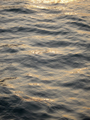 Sun shimmering on golden waves