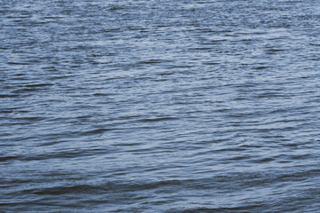 Obraz premium Blue waves