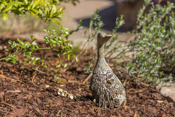 Wood carved duck on a mat of brown chip wood for the garden - front view