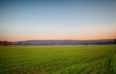 Green field at noon