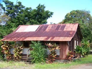 Hawaiian Tropical Shack