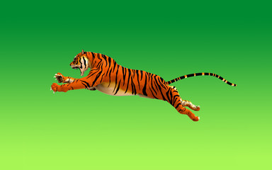 A tiger moving and jumping on green background, 3d illustration
