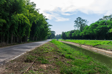 Obraz premium Irrigation canal