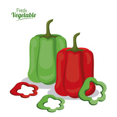 fresh vegetables green and red pepper spice nutrition cooking vector illustration