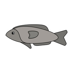 colorful silhouette fish aquatic animal vector illustration