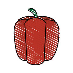 color crayon stripe red pepper vegetable food vector illustration