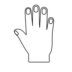 human hand icon over white background. vector illustration