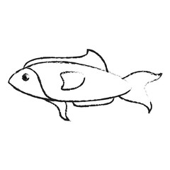 blurred silhouette fish aquatic animal vector illustration