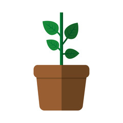 green plant in a pot icon over white background. vector illustration