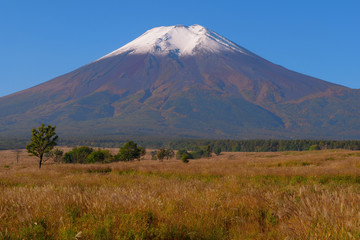Fototapeta na wymiar Mont Fuji de 