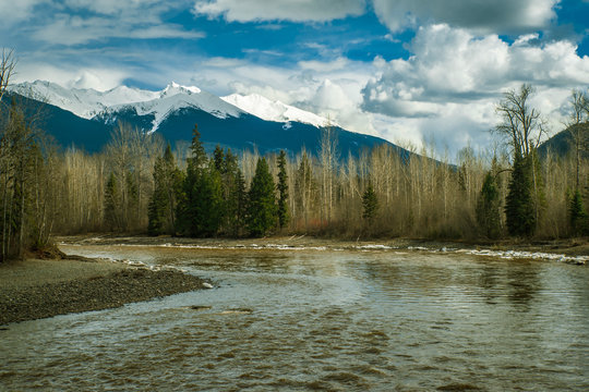 Bulkley River