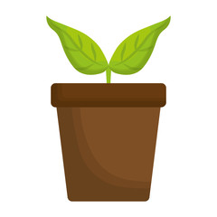 plant in a pot icon over white background. vector illustration
