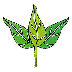 leaves icon over white background. vector illustration