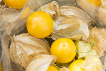 Cape gooseberry