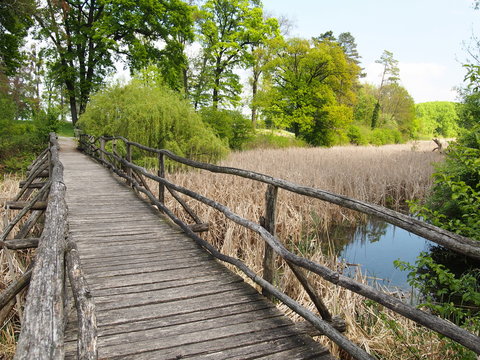 Scenic landscape view of park and wooden bridge