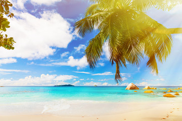Fototapeta na wymiar Photo of a tropical beach on the sunny day. Toned image