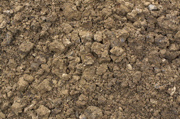 Brown soil