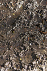 Wet mud