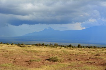 Kenia Safari