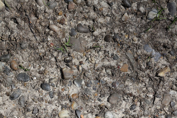 Stone texture