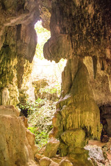 Cuban Cave System 