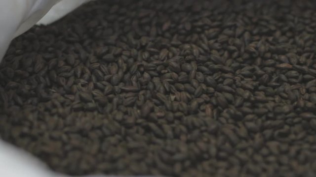 Malt Toasted