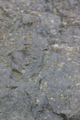 Stone texture