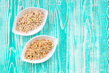 germinated seeds of buckwheat and wheat on turquoise colored wooden table. top view