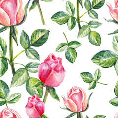 Seamless floral pattern, Pink rose watercolor hand drawn botanical illustration isolated on white background for design package cosmetics, greeting card, wedding invitation, beauty salon, wallpaper