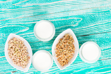 yogurt in glass jars, germinated seeds of buckwheat and wheat on turquoise colored wooden table,...
