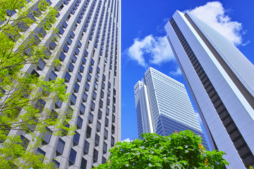 新緑の新宿高層ビル街